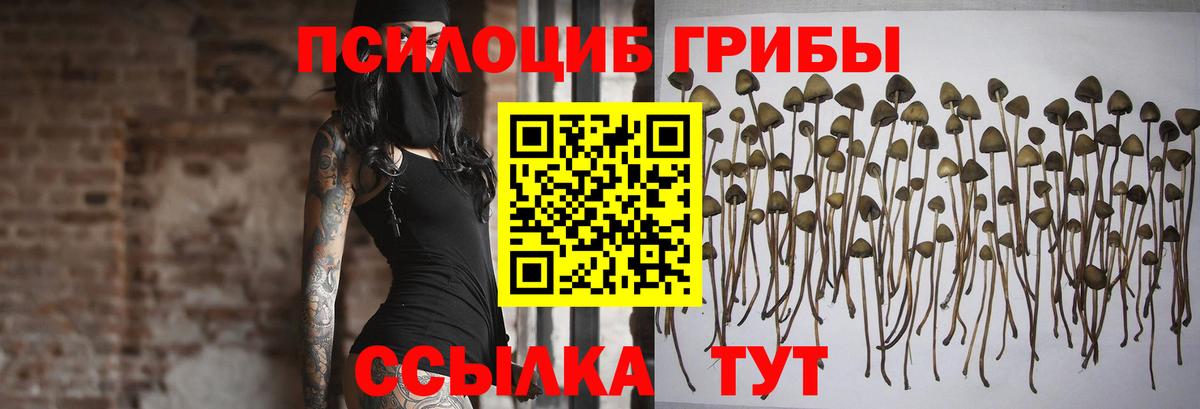 Галлюциногенные грибы GOLDEN TEACHER  Вход с VPN  Псилоцибиновые грибы мухоморы  Новодвинск 